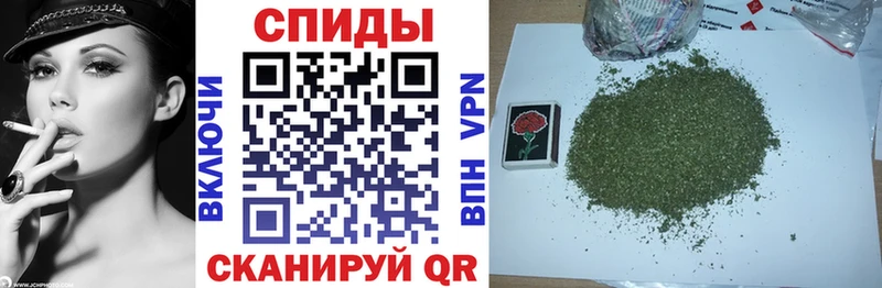 Бутират 99% Мураши