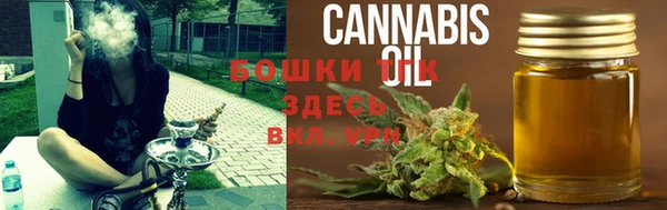 крисы Михайлов
