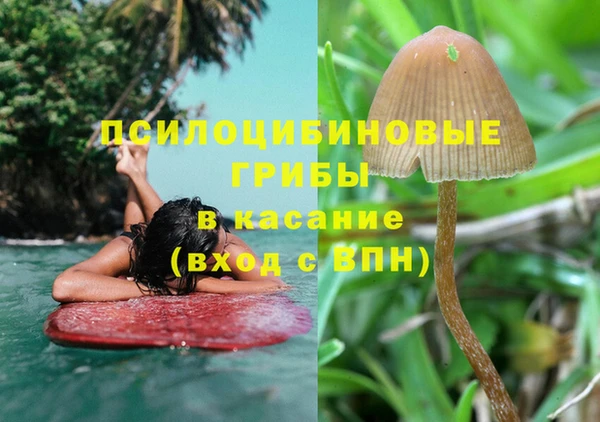 крисы Михайлов