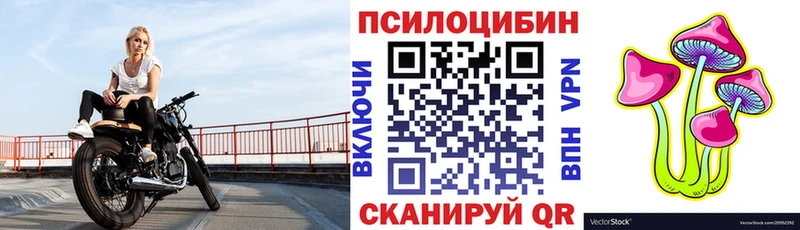 Псилоцибиновые грибы Cubensis  Мураши 